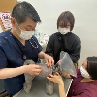 犬と猫、マイクロチップ装着を　ペット迷子、盗難に効果　飼い主特定、投棄防止も　改正動物愛護法施行