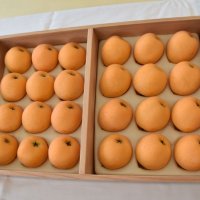 天皇陛下に献上される南無谷枇杷組合出品のビワ