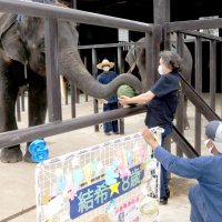 結希の８歳の誕生日に、研究会が設立された