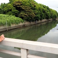 シアン基準超０．２ミリ　千葉県「脱硫液」漏出で公表遅れ　日鉄君津