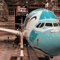 ウミガメ　ハワイへ準備ＯＫ　ホノルル線７月１日再就航　機体洗浄ピカピカに　成田空港