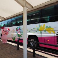 君津の魅力を乗せて　ラッピング高速バス運行開始　君津←→東京、横浜　濃溝の滝やミモザデザイン