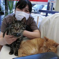美容室ＪＡＭの小宮山早織さん
