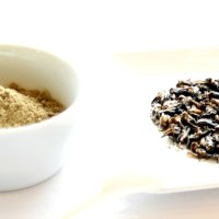 高タンパクな食用コオロギと粉末