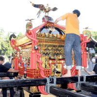金色に輝く大みこし　姉埼神社の“宝”修繕し新装　市原