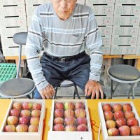 特注の化粧箱に「姉崎いちじく」を入れ、皇室に献上した相川さん＝１５日、市原市
