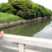 日本製鉄東日本製鉄所君津地区から脱硫液が流出した水路＝６月２２日、君津市