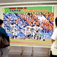 市船ナインの躍動活写　１５年ぶり甲子園で記念展