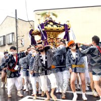 ３年ぶり神輿渡御　勇壮な姿、街に活気　匝瑳・八重垣神社祇園祭