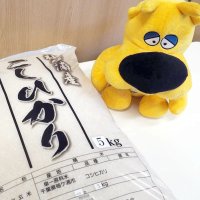 子育て世帯に新米を無償配布　コロナ、物価高対策で地元産コシヒカリ　袖ケ浦市