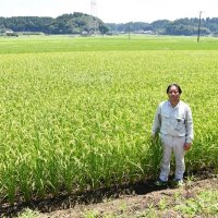 ミネラル土壌でおいしく　多古米（多古町）　千葉の三大銘柄米　【北総・九十九里　わがまちのお薦め　ふるさと納税逸品紹介】（２）