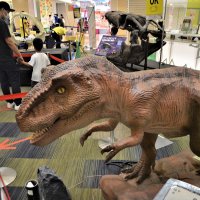 中身本格「ちいさな恐竜展」　５００円買い物で入場無料　２１日までモリシア津田沼