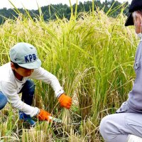 多古米収穫で秋実感　 都市部の家族連れら６２人