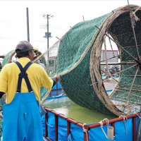 ノリ網を巻いた水車を回し、種付け作業をする生産者＝２５日、富津市
