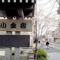 小金宿の案内板