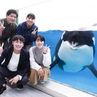 シャチとの記念撮影も（イメージ）