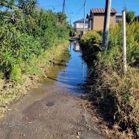 横芝光の浸水被害住宅１１軒と車１０台　千葉県、相談窓口を設置