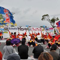 力強い演舞で観客魅了　３年ぶりよさこいイベント　香取