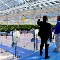 ハウス栽培に最新技術導入　千葉市農政センター　加温に電気併用、コストや収益性比較