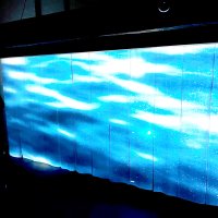 水郷地帯の「記憶」展　嫁入り舟など女性主役　香取の志村さん