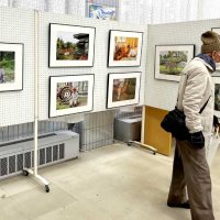 失われる風景作品に　写真家・斉藤さん　集団移転の「一鍬田」記録　多古