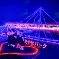 幻想景色、和がモチーフ　香取・あやめパーク「希望の光届けたい」　冬の夜彩るイルミネーション