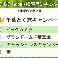 千葉は「とく旅」首位　グーグル２０２２年検索急上昇ランキング