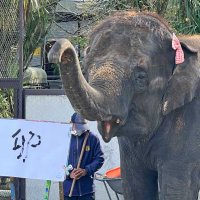 ２０２２～２３年　千葉県内年末年始ガイド・催し