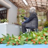 出荷に向け、作業場ではセンリョウの選別作業が大詰めを迎えている＝５日、館山市