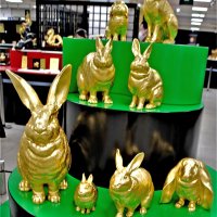 金に輝くウサギたちは日本種や欧米種をかたどった
