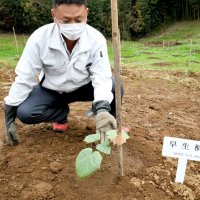 騒音対策用地に早生桐植樹　ＣＯ２吸収、資材活用目指し　国内空港初の試み　ＮＡＡとナリコー　【ＳＤＧｓちば】