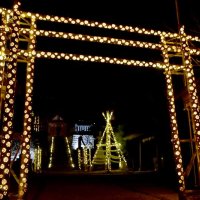 参道照らす竹あかり　冬の風物詩、参拝者癒やす　南房総・高家神社