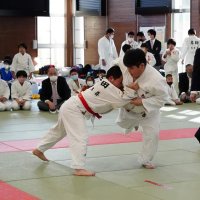 白熱した剣道と柔道の団体戦が行われた青少年武道大会＝勝浦市の日本武道館研修センター