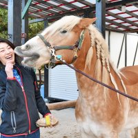 移住決めた運命の手綱　芸能と乗馬二刀流　俳優　佐藤藍子さん（４５）＝香取市在住　【千葉県誕生１５０年　ミライのちば人】