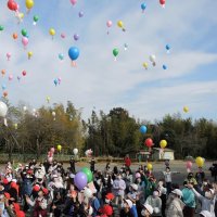 児童１８８人願い風船に　我孫子・布佐小　創立１５０周年記念で