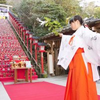 石段飾り前に成功祈願　勝浦ビッグひな祭り　４年ぶり開催の成功願う