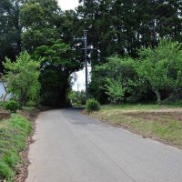 同族同士での激戦　難攻不落の土気城　【みるよむ　千葉市の今むかし】（７）