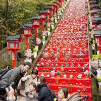 ４年ぶり華やかに　「ビッグひな祭り」開幕　ひな人形７千体、勝浦市内を彩る