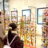 つるし雛で春の観光ＰＲ　千葉商議所女性会　ＪＲ千葉駅に展示