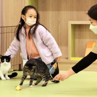 「ペテモ　ライフハウス　ピアシティ稲毛海岸」で子猫と遊ぶ女の子とスタッフ＝千葉市美浜区
