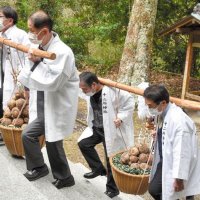 里芋こんもり　担いで奉納　館山、無病息災や豊穣願う
