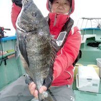 保田沖で釣り上げたクロダイ（写真は「村井丸」提供）
