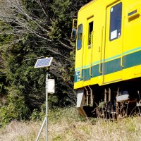列車と動物の衝突防げ　キョンの嫌がる高周波音装置　いすみ鉄道　「鹿ソニック」応用、共生目指し実証実験