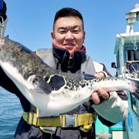 金谷４．２キロトラフグ好捕　木更津カサゴ順調　【今週の釣果】
