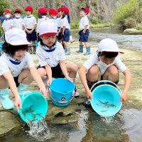 アユ大きく育ってね！　児童が稚魚５００匹放流　市原・養老川