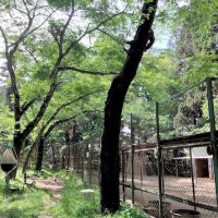 香取神宮内にある鹿苑（香取の鹿愛護会提供）
