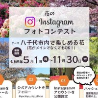 「花の八千代」投稿して！　ＰＲへ、初のフォトコン