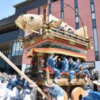 こどもの日に「鯉」集結　飾り物の山車、こいのぼり２０匹　香取