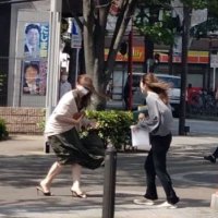 強風で千葉県内交通網に乱れ　京葉線、内房線で遅れ　木更津では５月の最大風速更新