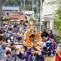 かけ声響かせ神輿巡行　八日市場東照宮例大祭